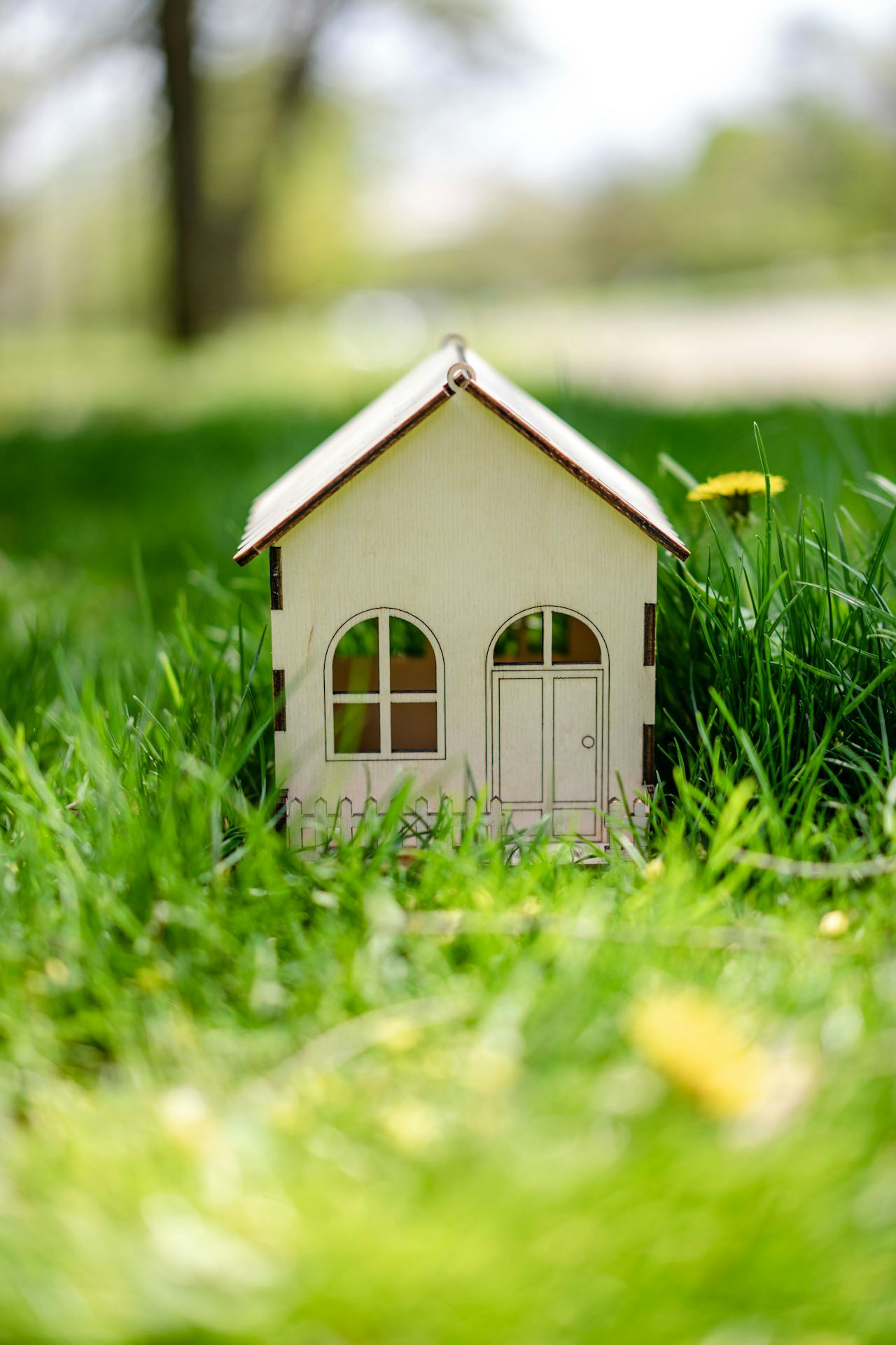 tiny house